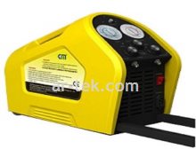 01 01 29 GAS RECOVERY UNIT CM-2000A